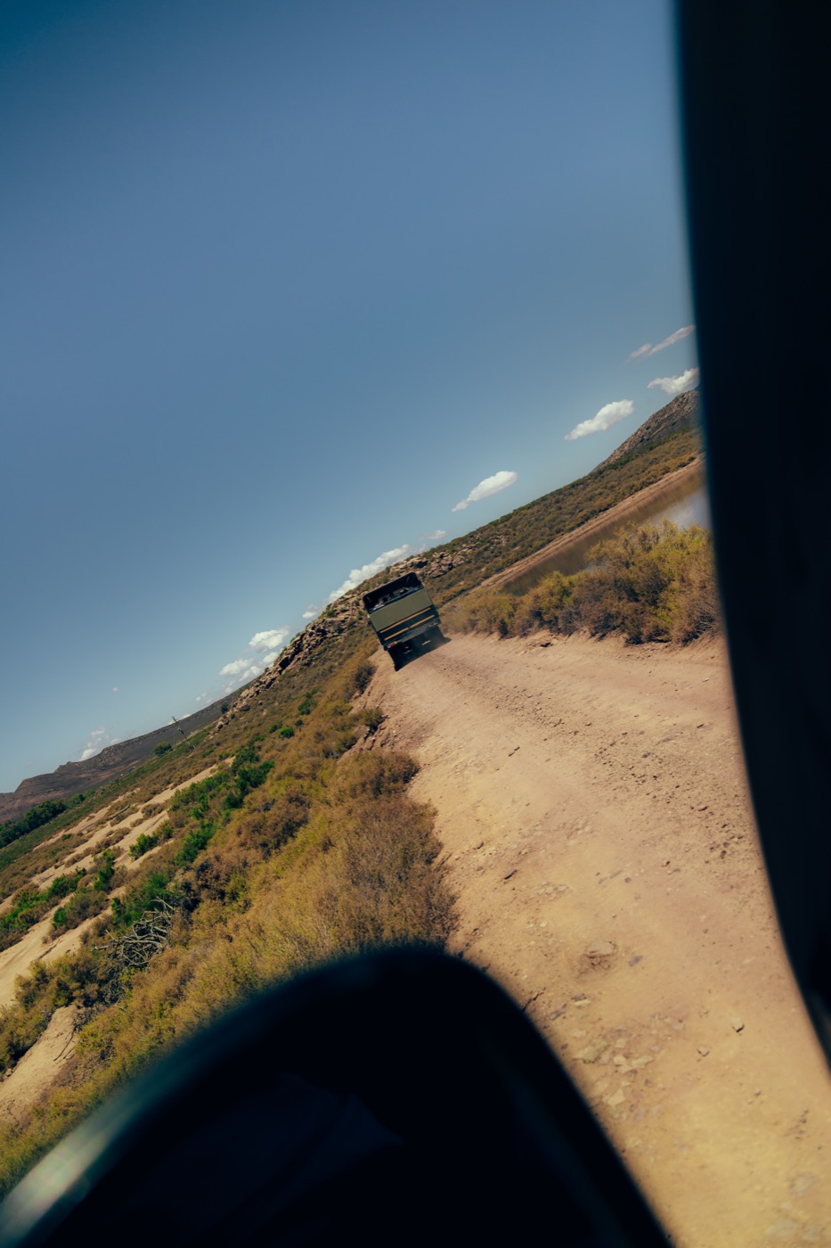 Safari